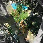 Apartmán Podere Macee Casavacanza *