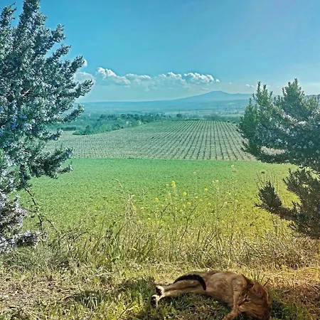 Podere Macee Casavacanza