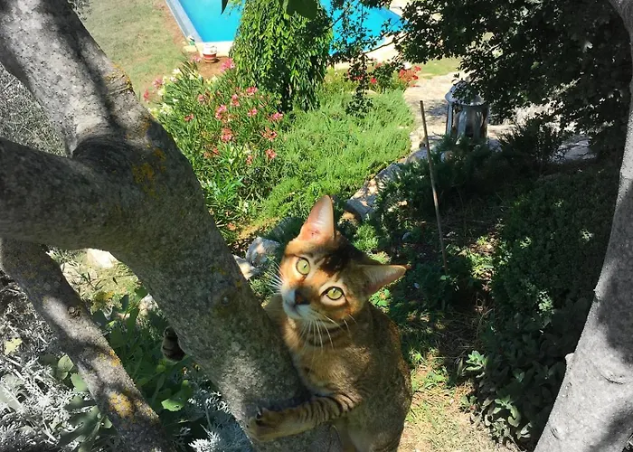 Apartamento Podere Macee Casavacanza *